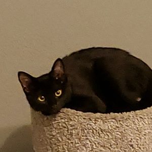 Meet your Posher, Ali